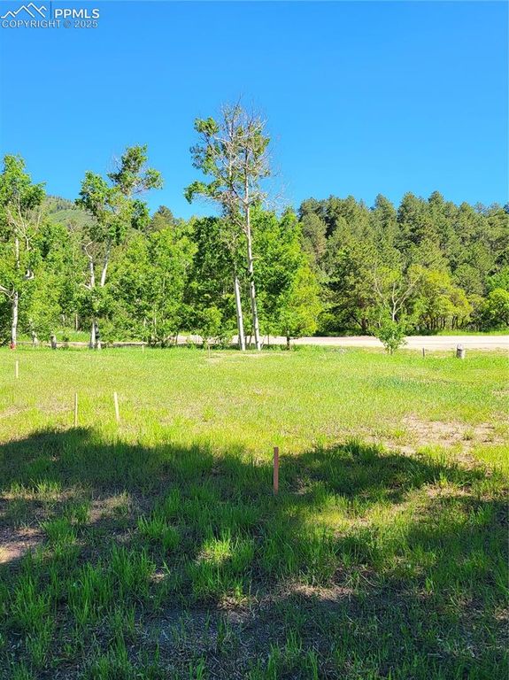 141 Virginia Avenue, Palmer Lake, CO 80133 — photo 3