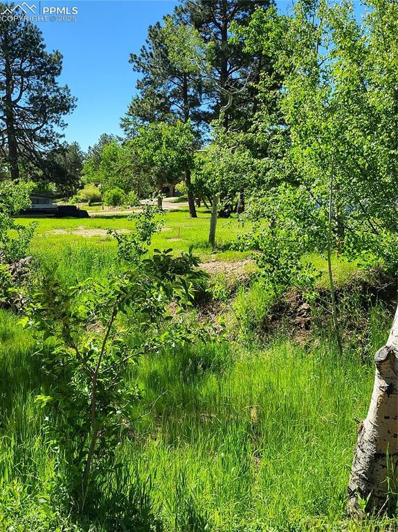 141 Virginia Avenue, Palmer Lake, CO 80133 — photo 4