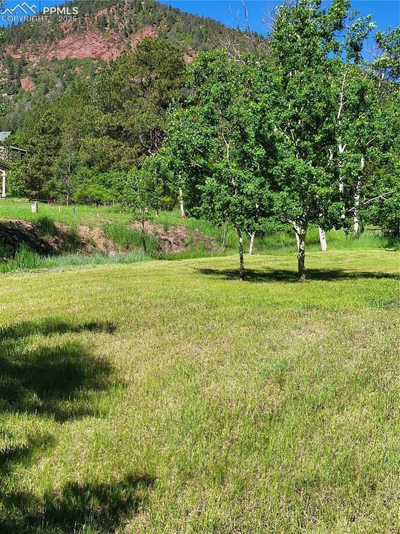 141 Virginia Avenue, Palmer Lake, CO 80133 — photo 5