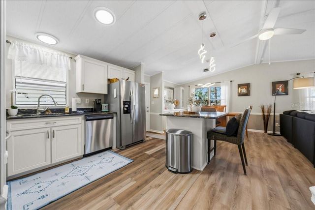 1003 MATTHEW AVENUE, Lady Lake, FL 32159