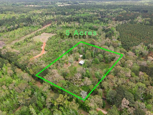 1193 Cowpen Road, Karnack, TX 75661
