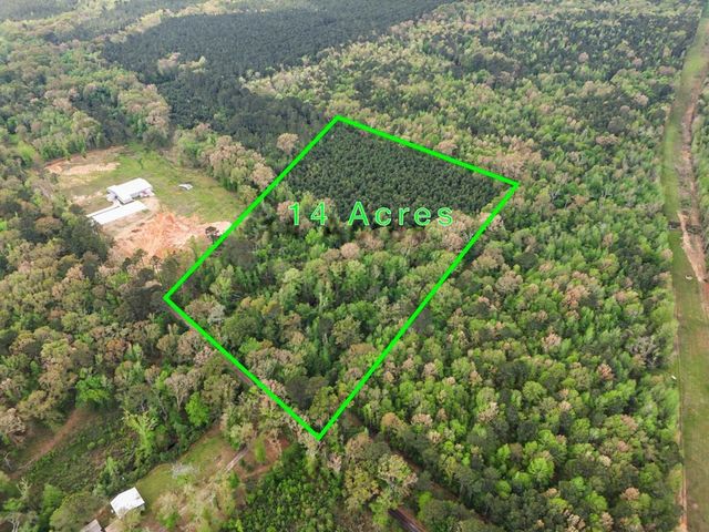 1193 Cowpen Road, Karnack, TX 75661