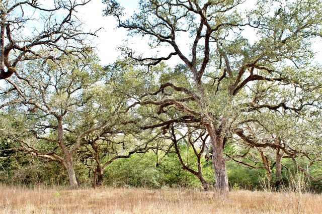 000 Kearney Drive, Columbus, TX 78934