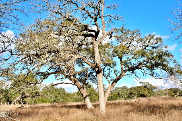 000 Kearney Drive, Columbus, TX 78934