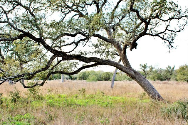 000 Kearney Drive, Columbus, TX 78934