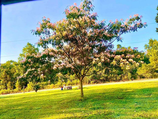 2096 QMC Road, Mountain View, AR 72560