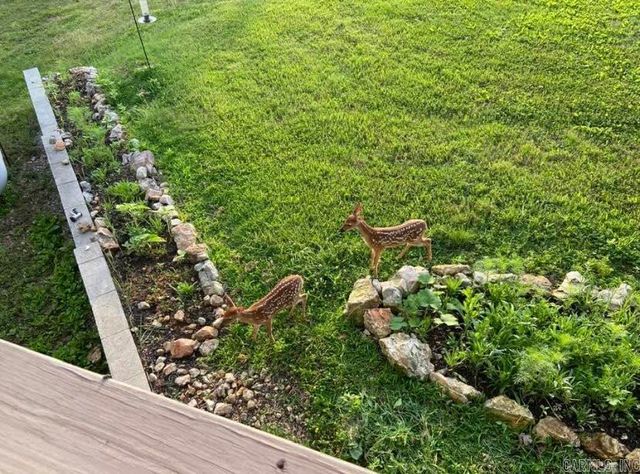 2096 QMC Road, Mountain View, AR 72560