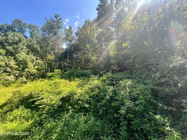 Pine Crest Drive, Maynardville, TN 37807