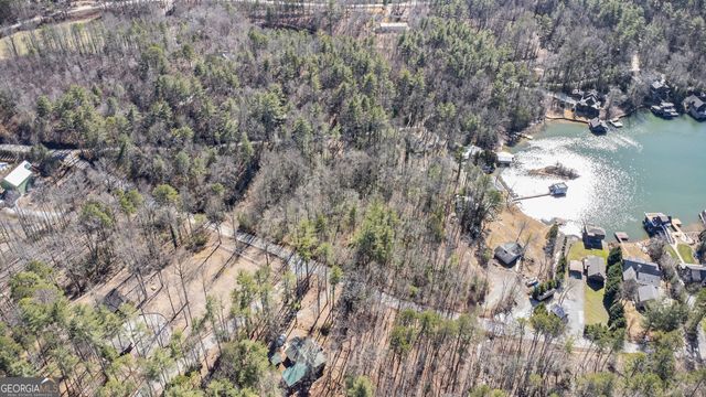 5622 Murray Cove Road, Tiger, GA 30576