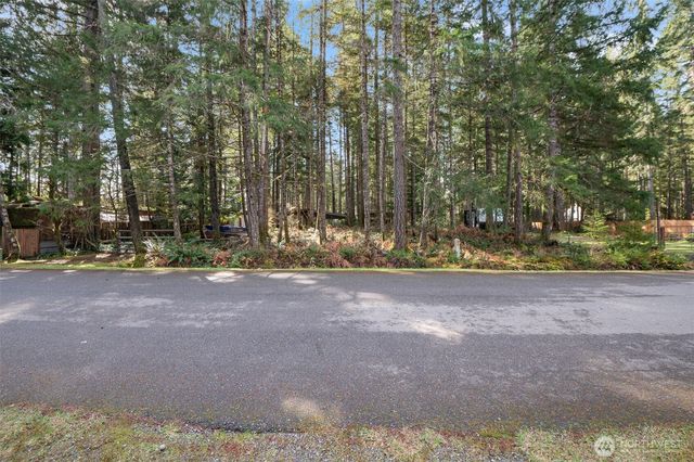 31 N Brook Lane, Hoodsport, WA 98548