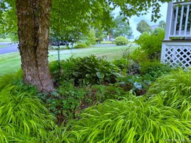 41 W Deer Trail, Pawling, NY 12564