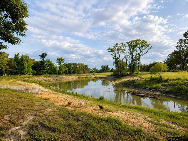 10861 County Rd 411, Tyler, TX 75704