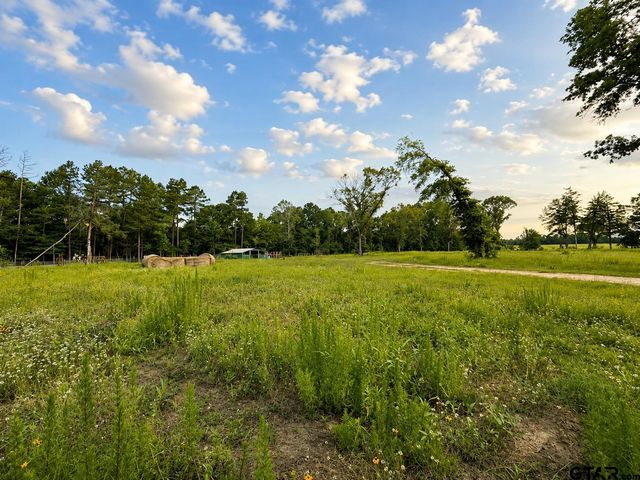 10861 County Rd 411, Tyler, TX 75704
