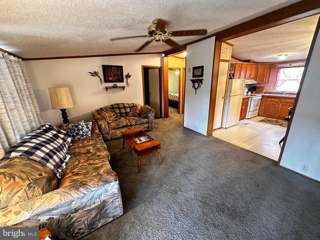 98 BEAR RUN RD, Oakland, MD 21550