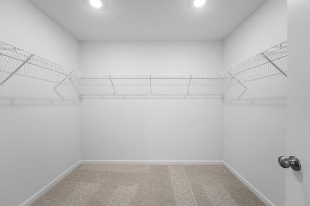 11610 16th Circle NE, Saint Michael, MN 55376