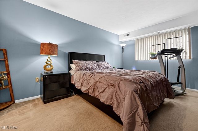 10373 Glenway Drive 202, Twinsburg, OH 44087