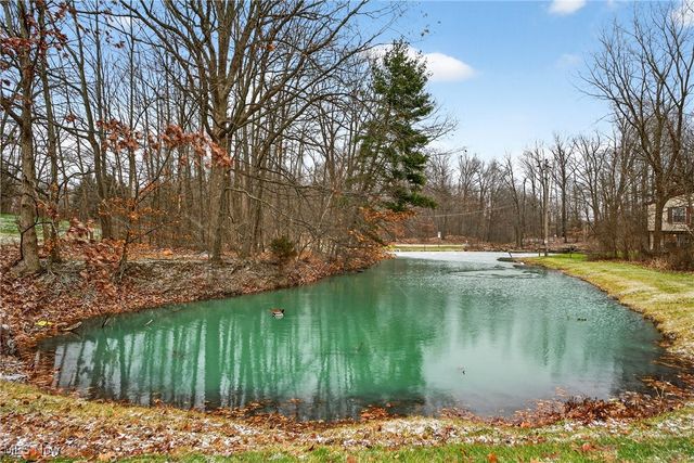 10373 Glenway Drive 202, Twinsburg, OH 44087