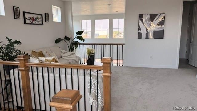 14831 dahlia Way, Thornton, CO 80602