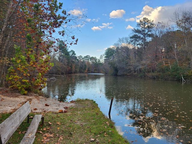 763 Timberline Drive, Onalaska, TX 77360