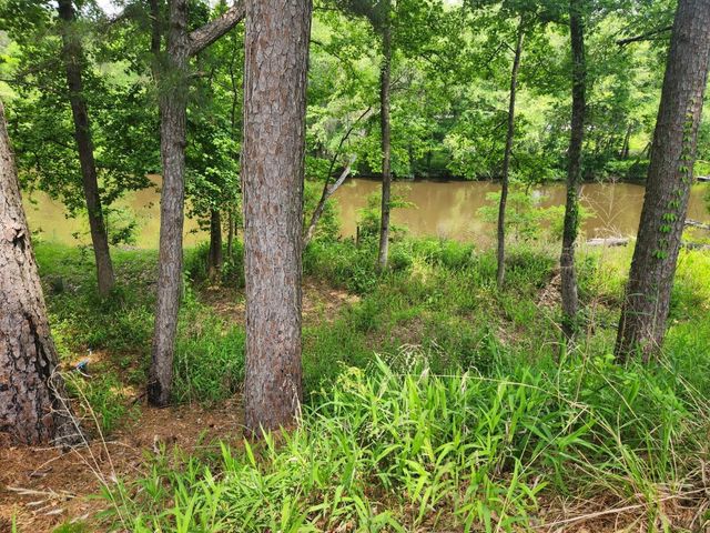 763 Timberline Drive, Onalaska, TX 77360