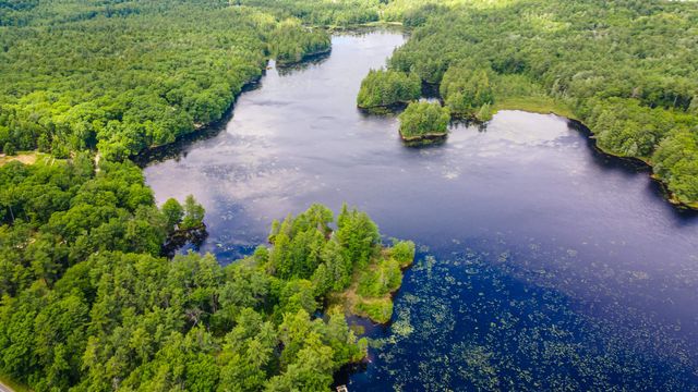 14 Sandy Cove Road, Rindge, NH 03461