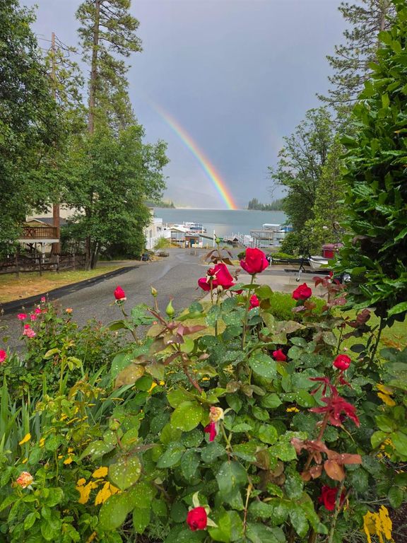 Image 36 of property listing at 54825 Willow Cove, Bass Lake, CA 93604