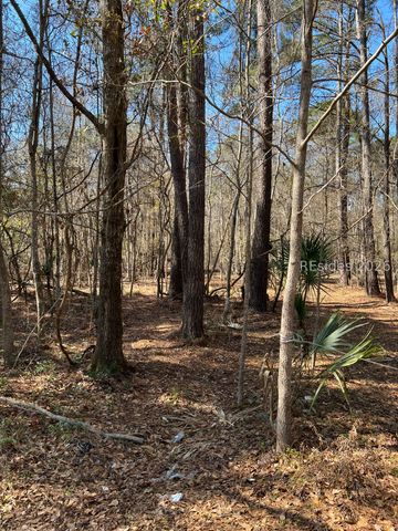 125 Old Miller Rd, Bluffton, SC 29910