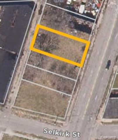 8421 Mount Elliott Street, Detroit, MI 48211