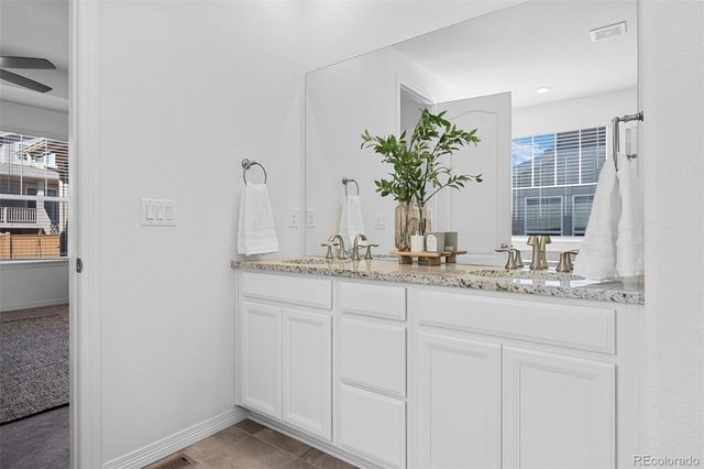 8741 Ginkgo Loop, Parker, CO 80134