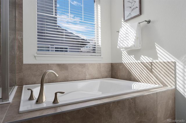 8741 Ginkgo Loop, Parker, CO 80134