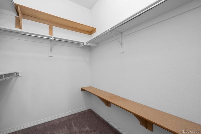 8741 Ginkgo Loop, Parker, CO 80134