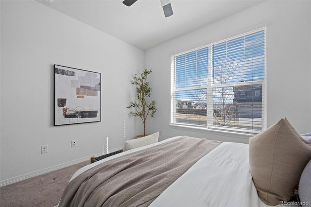 8741 Ginkgo Loop, Parker, CO 80134