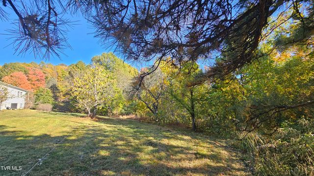 133 Forrest View Lane, Coeburn, VA 24230