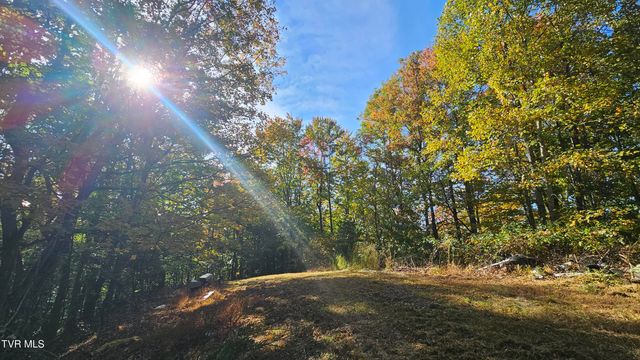 133 Forrest View Lane, Coeburn, VA 24230