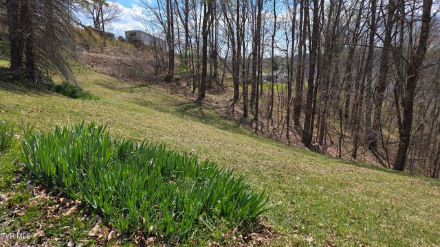 133 Forrest View Lane, Coeburn, VA 24230