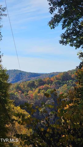 133 Forrest View Lane, Coeburn, VA 24230