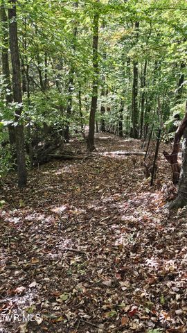 133 Forrest View Lane, Coeburn, VA 24230