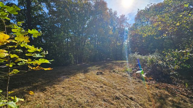 133 Forrest View Lane, Coeburn, VA 24230