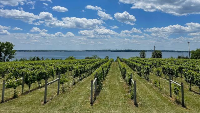 4139 Ramsay Way, Waconia, MN 55387