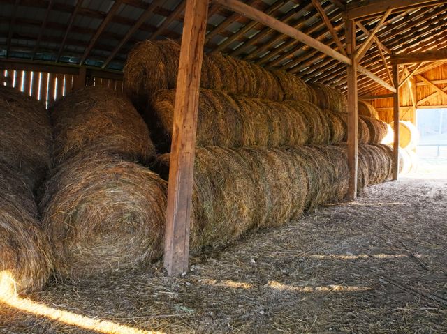 9999 Red Lick, Irvine, KY 40336