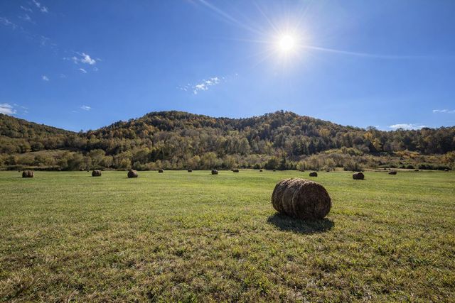 9999 Red Lick, Irvine, KY 40336