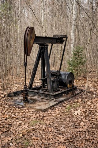 9999 Red Lick, Irvine, KY 40336