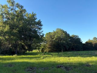 289 County Road 261, Oakwood, TX 75855