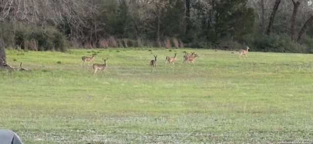 15835 E US Highway 90, Kingsbury, TX 78638