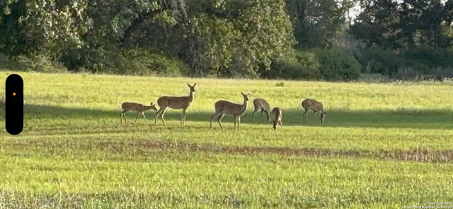 15835 E US Highway 90, Kingsbury, TX 78638