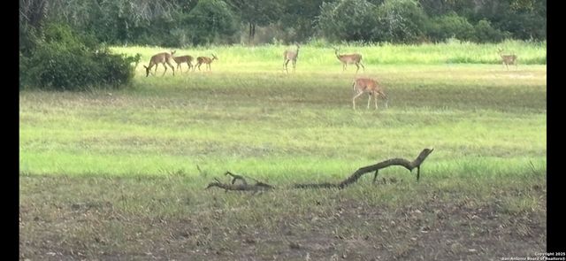 15835 E US Highway 90, Kingsbury, TX 78638