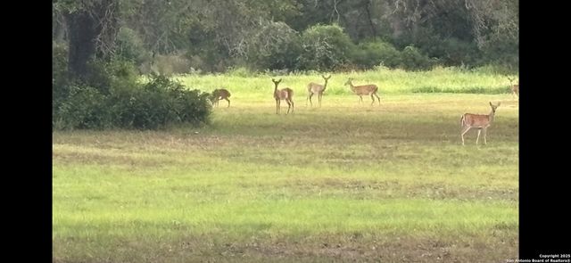 15835 E US Highway 90, Kingsbury, TX 78638