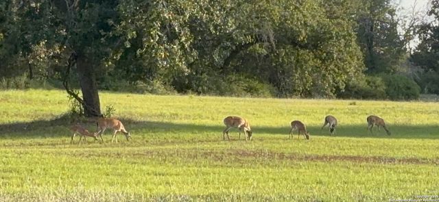 15835 E US Highway 90, Kingsbury, TX 78638