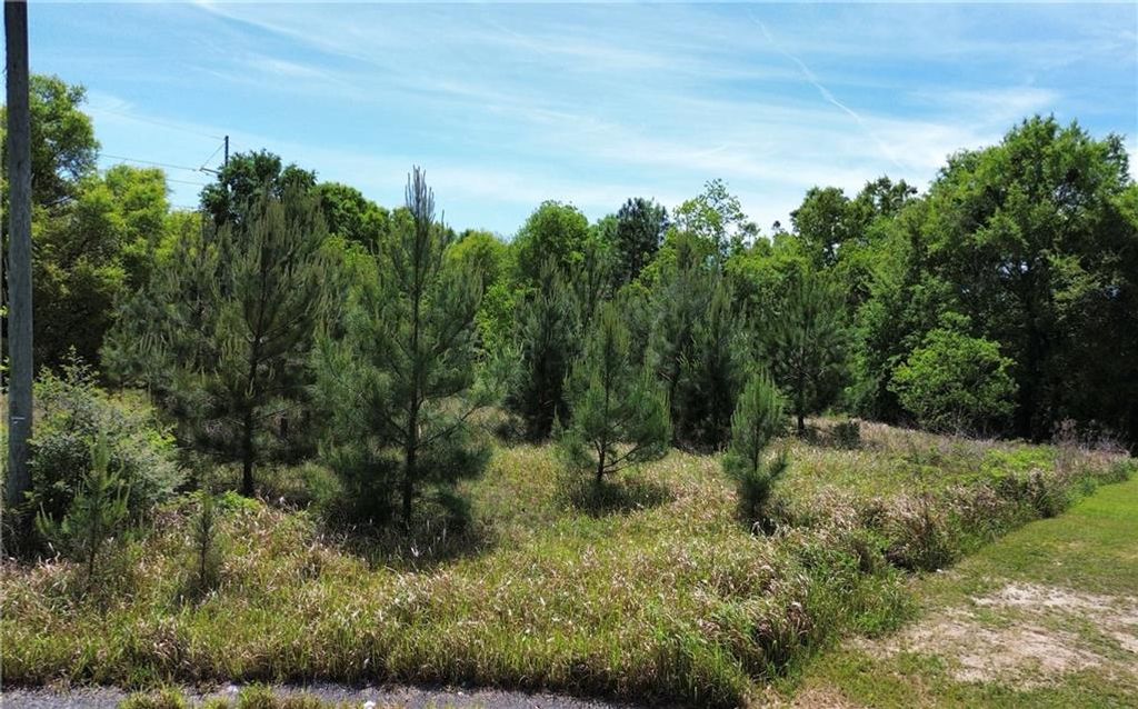 0 Chandler Court, Eight Mile, AL 36613 — photo 4