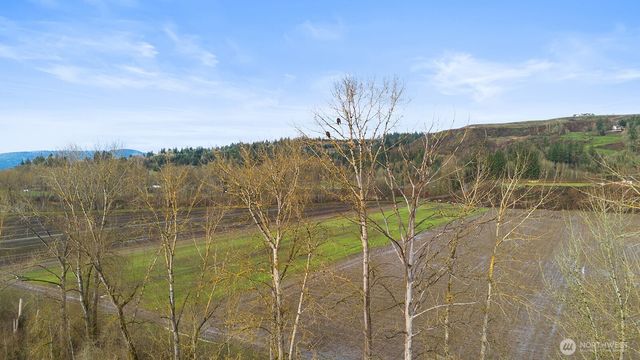 408 Tulip Lane, Woodland, WA 98674
